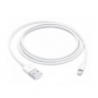Apple - Câble USB vers Lightning 1M