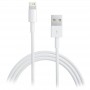 Apple - Câble USB vers Lightning 2M