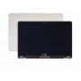 Ecran Apple MacBook Air 15" M2 A2941 2023 Bloc LCD Complet Lumière stellaire