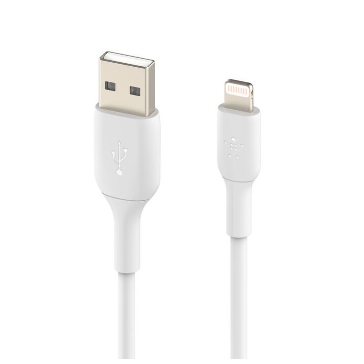 Connecteurs du câble Belkin USB-A vers Lightning blanc