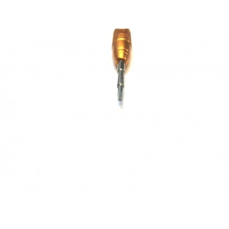 Tournevis aimanté Torx T6 2,5x5mm