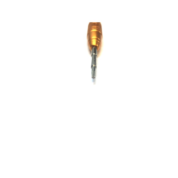 Tournevis aimanté Torx T6 2,5x5mm