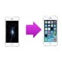 Forfait Réparation Remplacement Ecran Apple iPhone 5S/SE Blanc - Premium