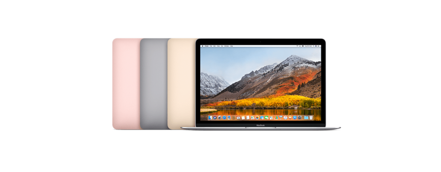 Pièce détachée Apple MacBook 12" A1534 EMC 2746 - 2015 | Macinfo