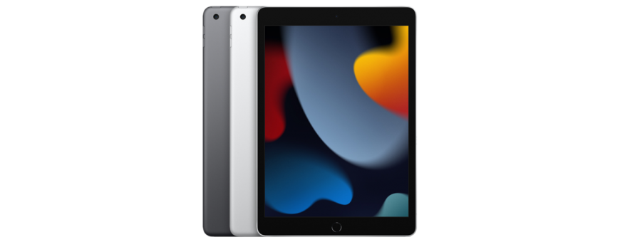 Pièces détachées Apple iPad 9 A2828 A2829 A2830 A2270 - Macinfo